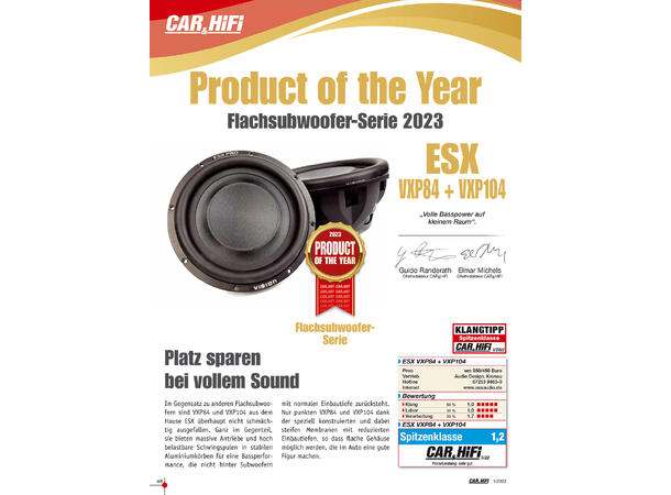 ESX VXP84 flat high-end subwoofer 600W max / 300W RMS 